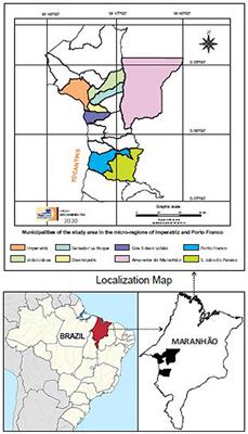 Diagnosis and phylogenetic analysis of bovine leukemia virus in dairy cattle in northeastern Brazil